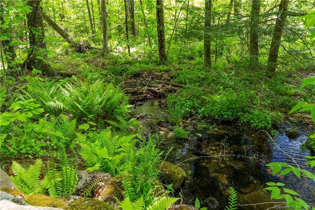Barkhamsted, CT 06063,13 Dew Road