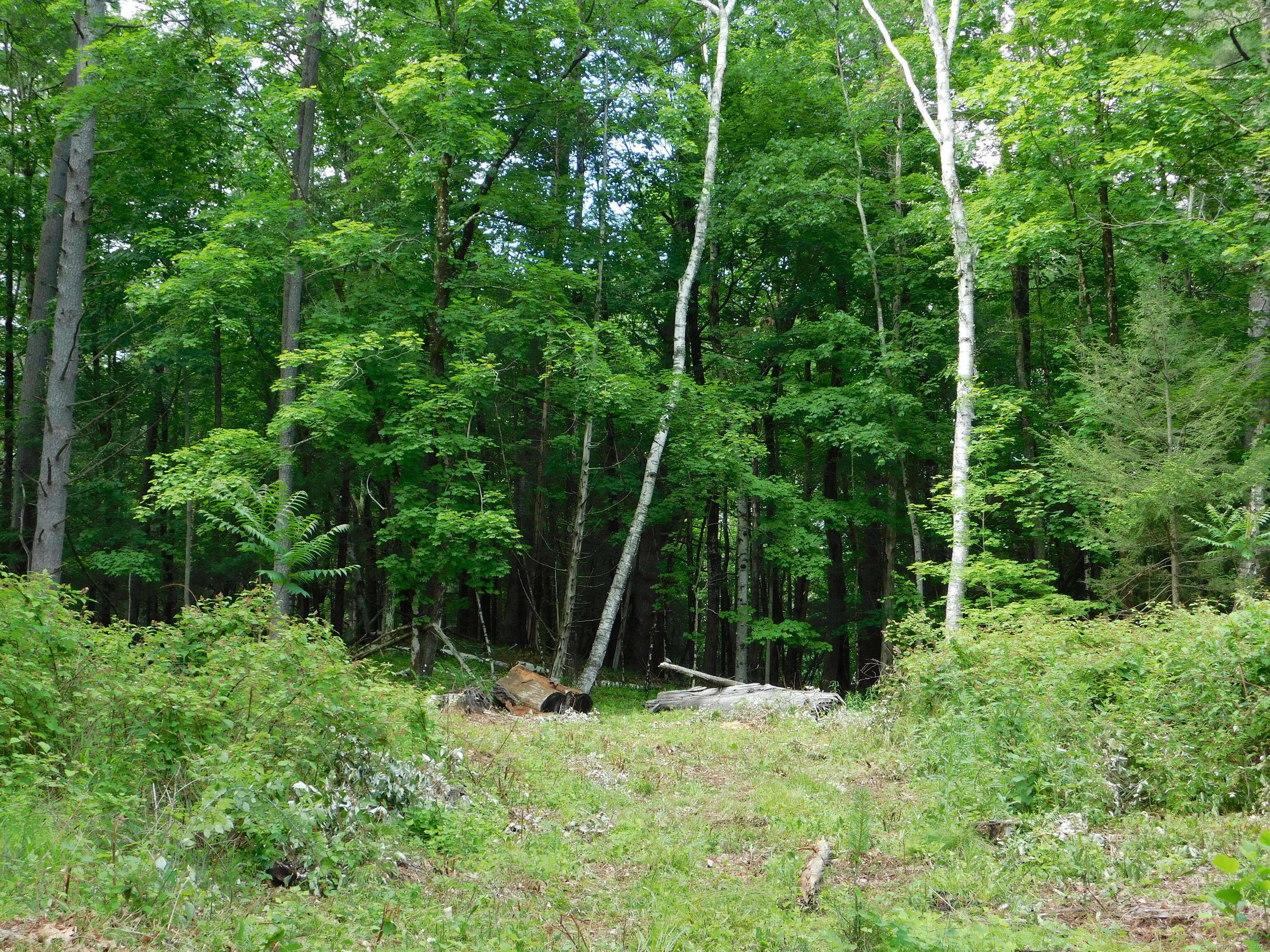 Salisbury, CT 06068,215 Taconic Road