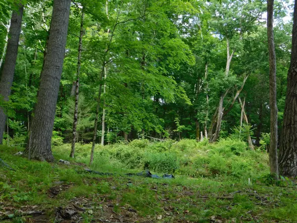 Salisbury, CT 06068,215 Taconic Road