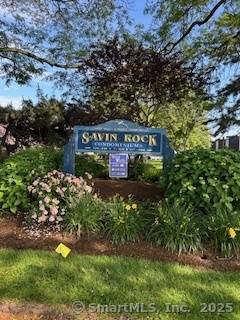 175 West Walk #175, West Haven, CT 06516