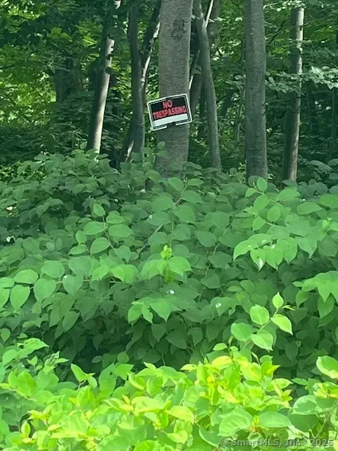 Orange, CT 06477,539 Fairway Road