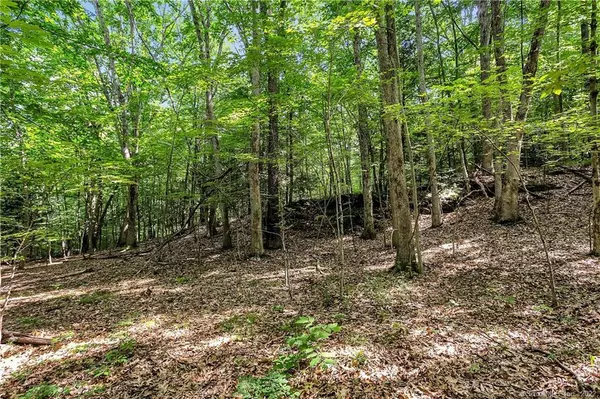 Roxbury, CT 06783,200 North Street