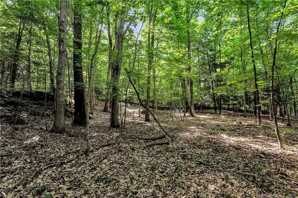 Roxbury, CT 06783,200 North Street