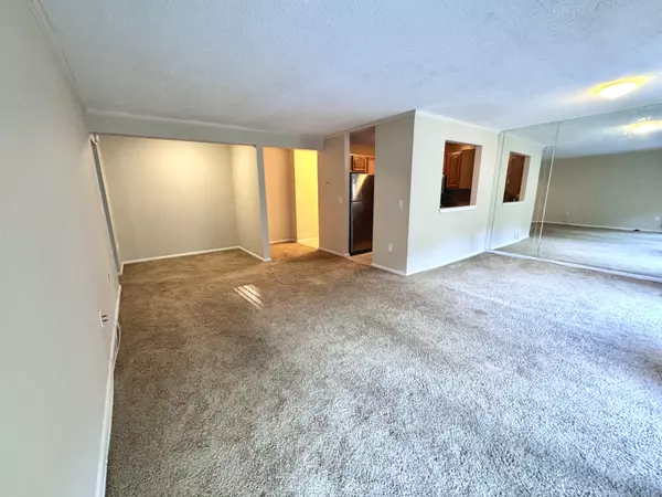 Hamden, CT 06514,175 Mill Pond Road #355