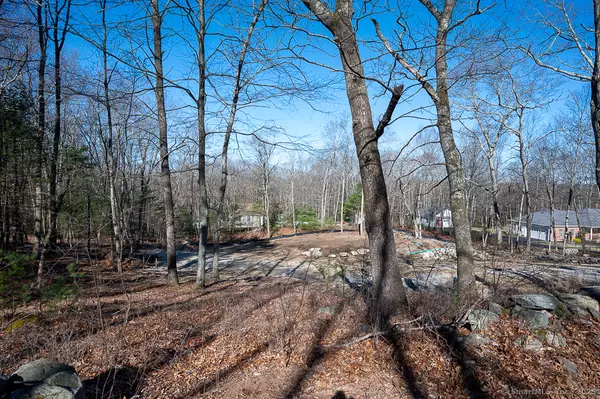 Thompson, CT 06255,206 Stawicki Road