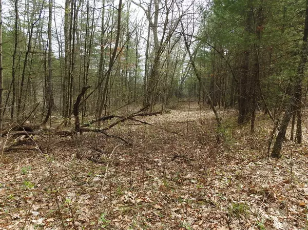 Sheffield, MA 01257,730 Clayton Rd Road