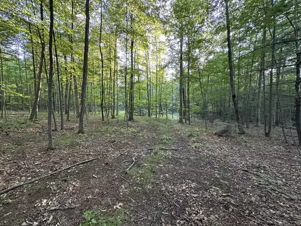 Stafford, CT 06076,19 Potter Road