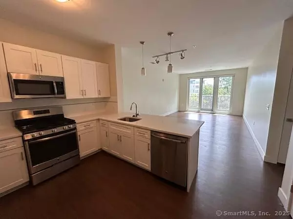 Stamford, CT 06905,111b Morgan Street #329