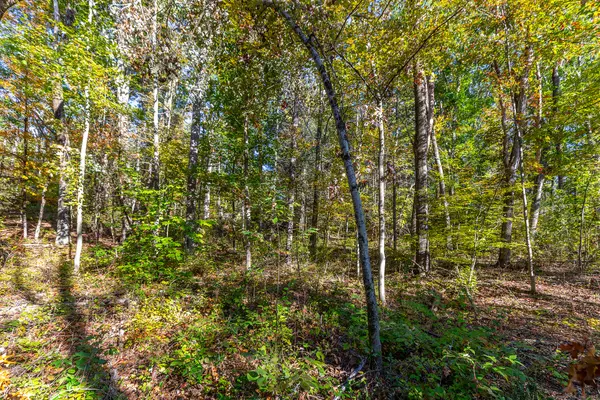 Salisbury, CT 06068,000 Undermountain Road