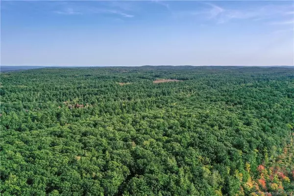 Woodstock, CT 06281,00 Ide Perrin Road