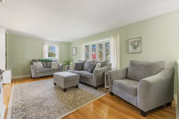 Plymouth, CT 06786,6 East Orchard Street