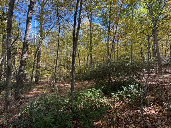 Haddam, CT 06438,428 Plains Road