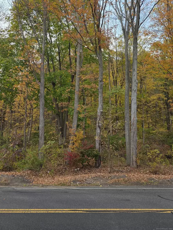 295 & 305 (Lot 103 & Lot  Oregon Street, Meriden, CT 06451