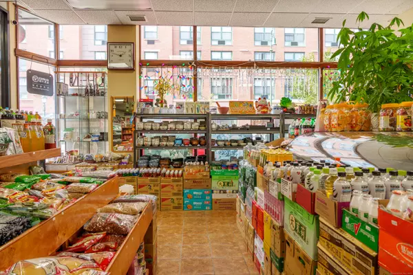 New Haven, CT 06510,15 Orange Street #STE 222