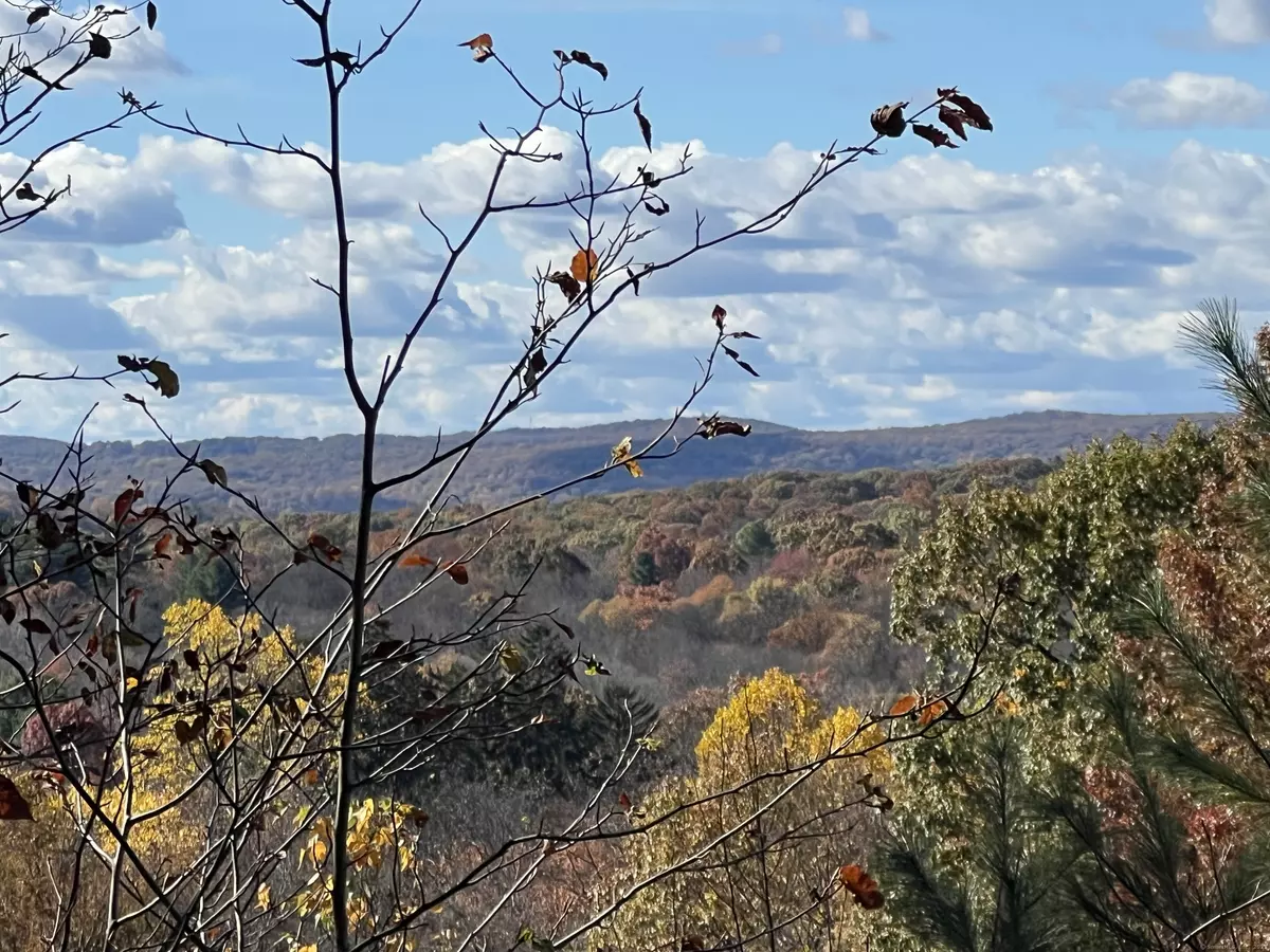 Newtown, CT 06470,3 Boulder Creek Road