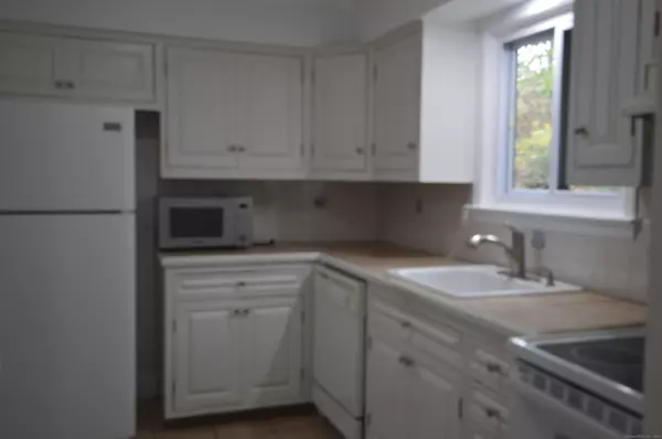 Brookfield, CT 06804,60 Homestead Lane #60