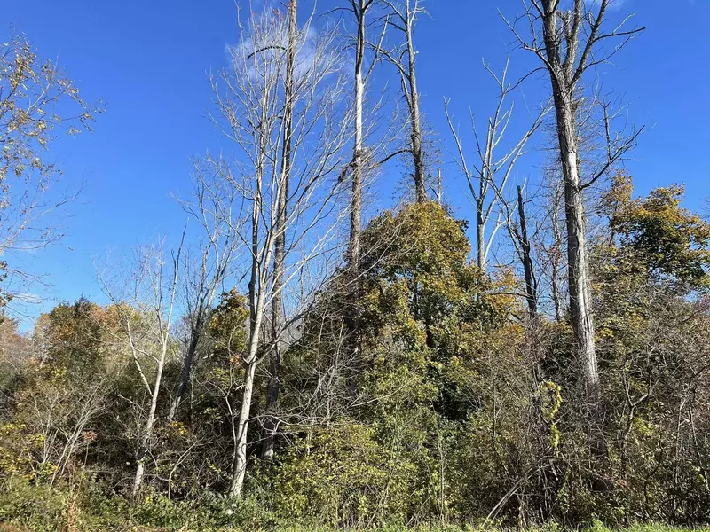 200 W. West Hill Rd Road, Barkhamsted, CT 06063