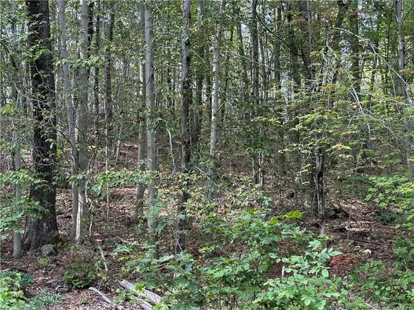 Warren, CT 06754,00 Above All Road