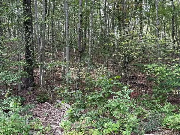 Warren, CT 06754,00 Above All Road