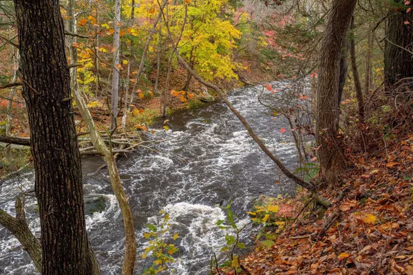 10 Riverview Court #10, Brookfield, CT 06804