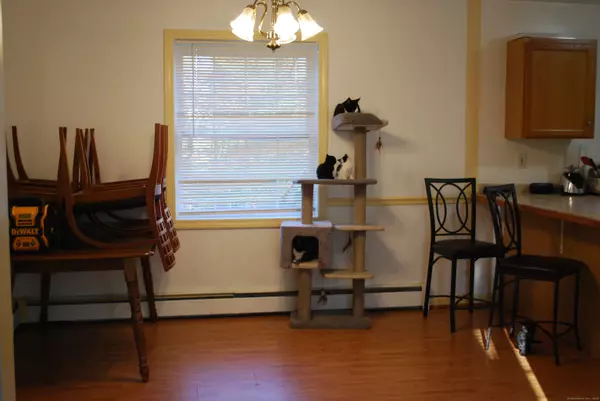 Torrington, CT 06790,71 Doman Drive