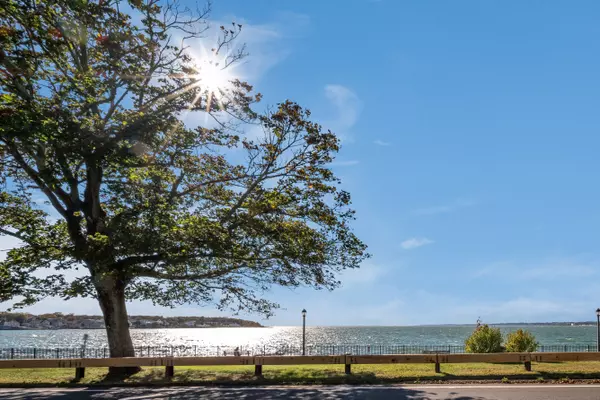 New Haven, CT 06512,34 Beecher Place