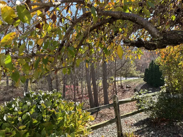 Clinton, CT 06413,9 Bonny Lane