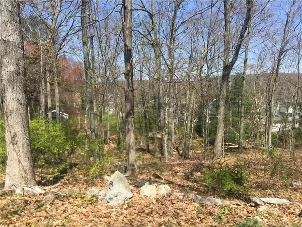 Wilton, CT 06897,22 Horseshoe Road