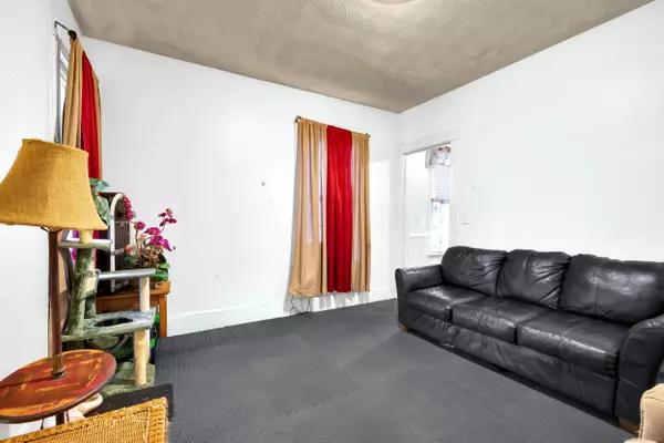 New Haven, CT 06513,36 Shelter Street