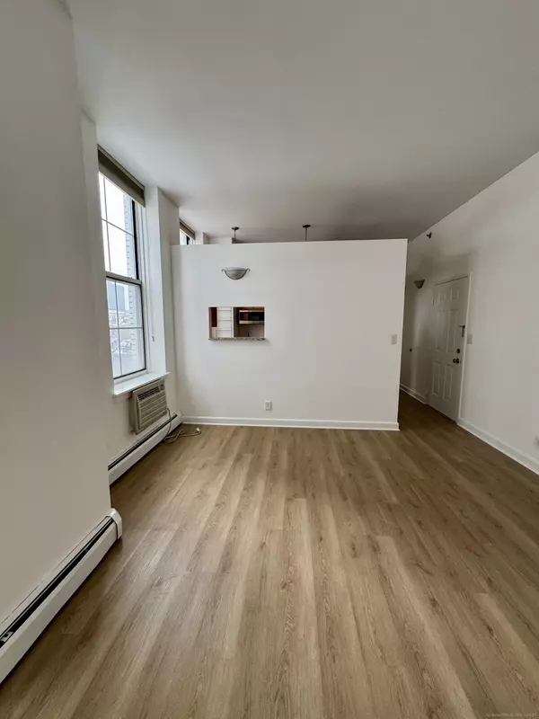 New Haven, CT 06511,124 Court Street #407