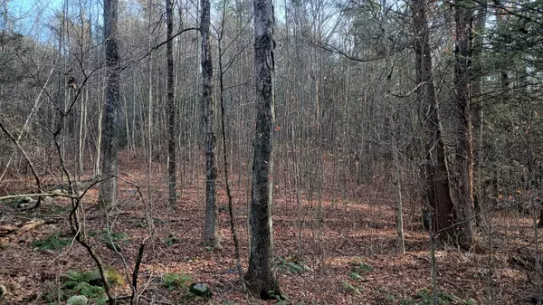 Harwinton, CT 06791,Campville Hill Road