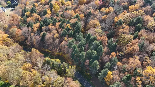 Sherman, CT 06784,41 Long River Road