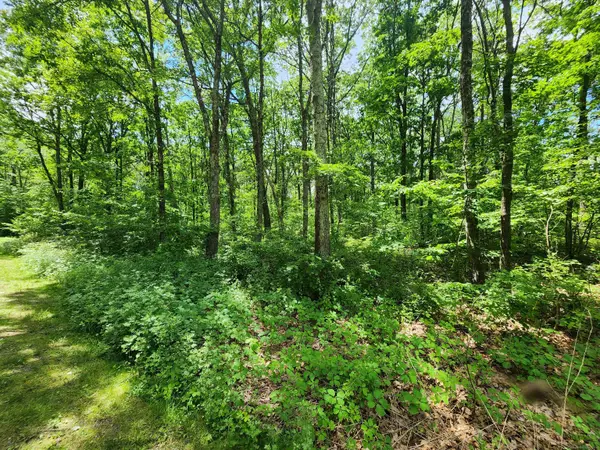 Kent, CT 06757,11 Old Paddock Lane