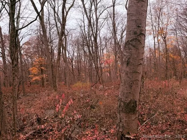 72D Walnut Street, Seymour, CT 06483