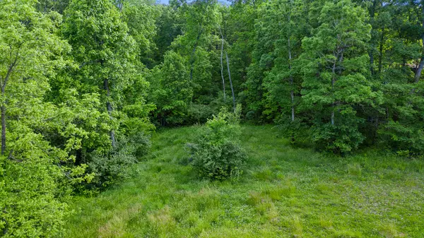 E Graybill RD, Sturgeon, MO 65284