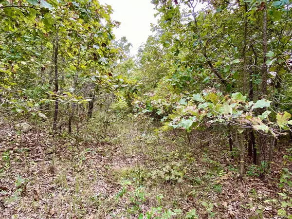 Edwards, MO 65326,TBD Bo LN