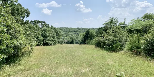 Kirksville, MO 63549,230 ACRES Cedar hill trails