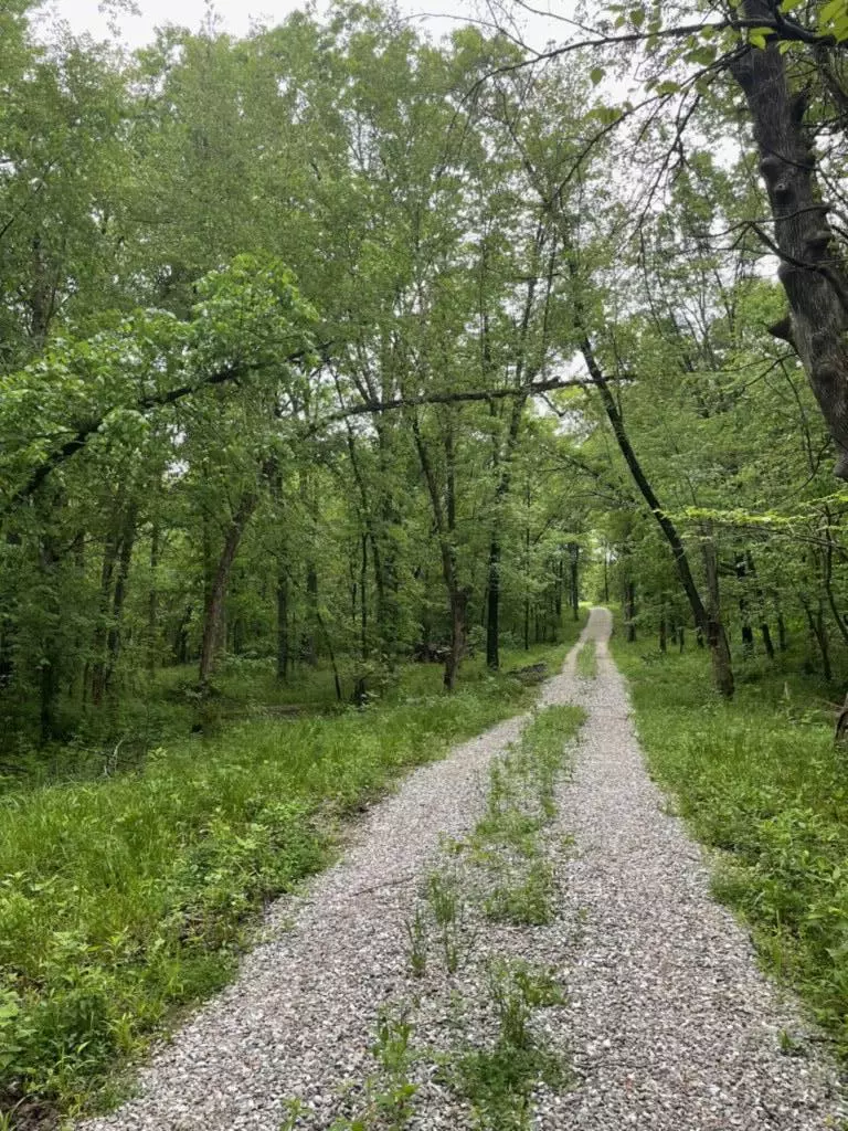 Centralia, MO 65240,Little creek