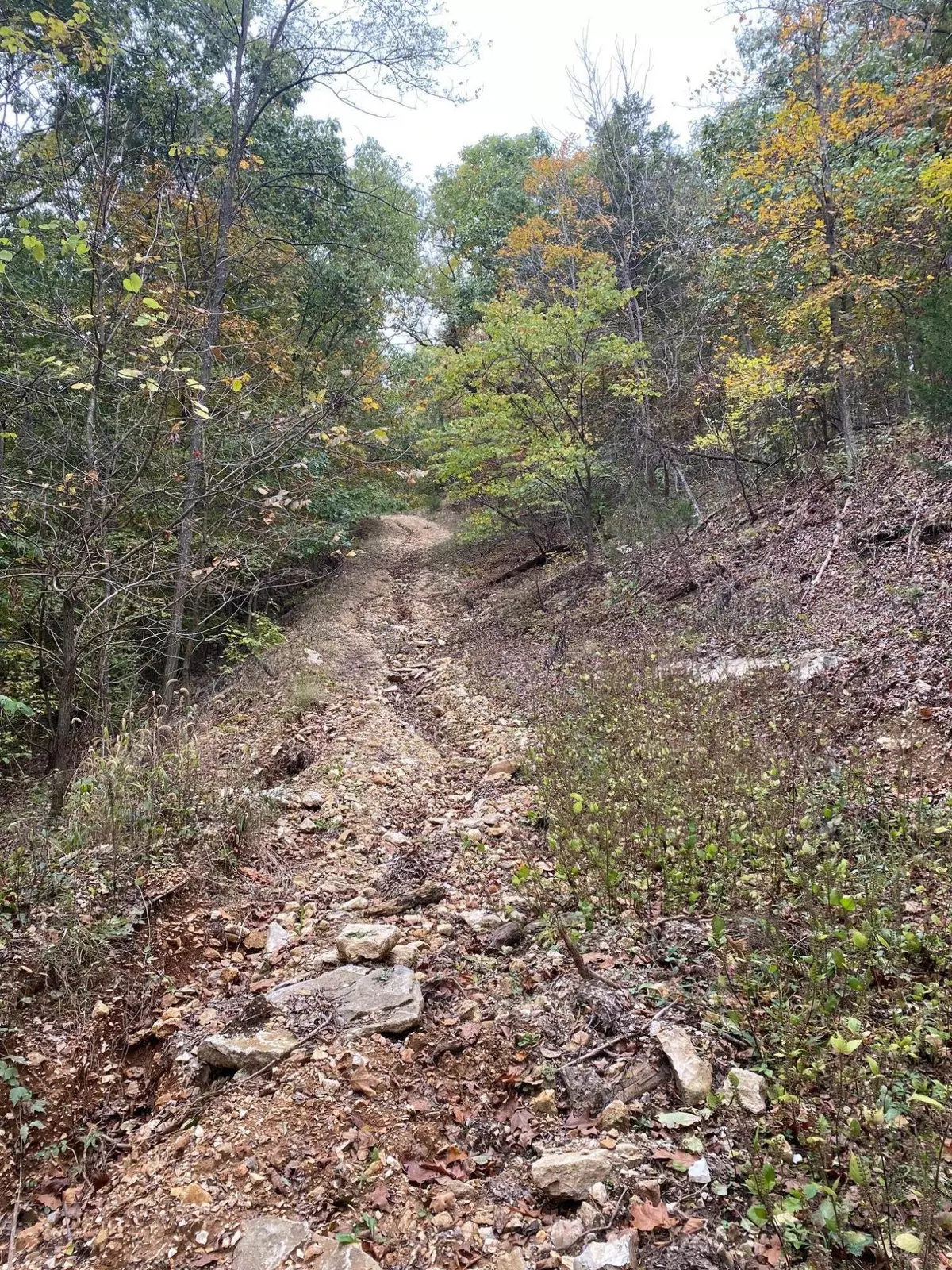 Center, MO 63436,Pleasant grove RD