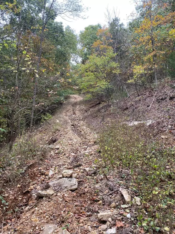 Pleasant grove RD, Center, MO 63436