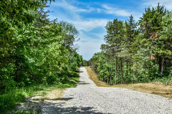 Holts Summit, MO 65043,10 The bluffs