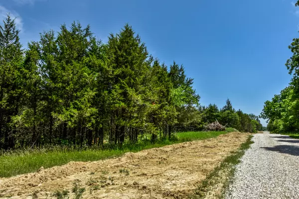 11 The bluffs, Holts Summit, MO 65043