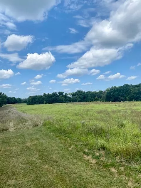 Mokane, MO 65059,80 ACRES Bittersweet LN