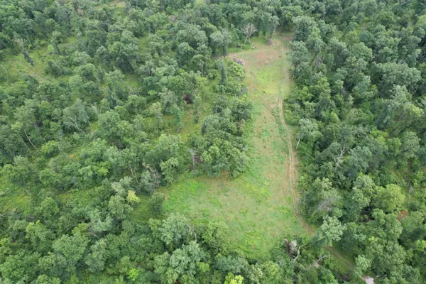 Martinsburg, MO 63384,42 ACRES Audrain rd 620