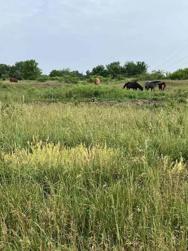 17401 N Route f, Harrisburg, MO 65256