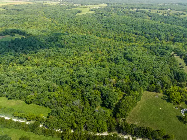 TRACT 1 30 +/- acres county rd 445, Mokane, MO 65059