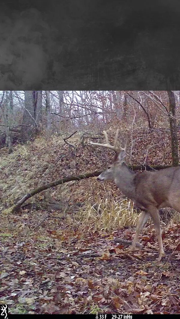 Harrisburg, MO 65256,43 Co rd 117