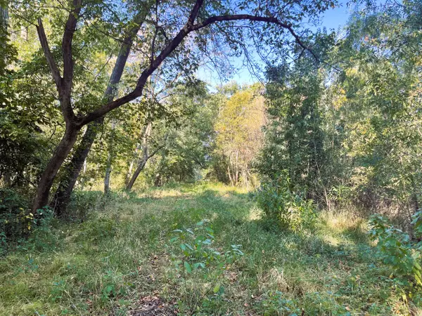 80 ACRES Sandbar lane, Salisbury, MO 65281