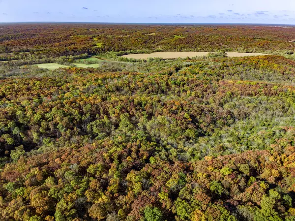 Steedman, MO 65077,(TBD) 20 acres county rd 449