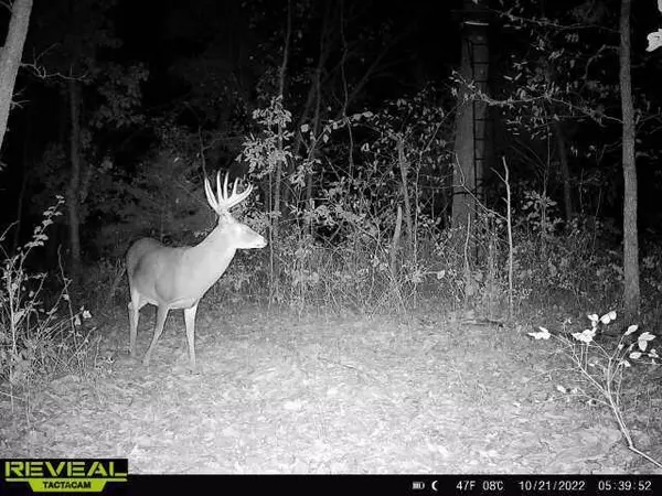 Prairie Home, MO 65068,000 Walnut dr